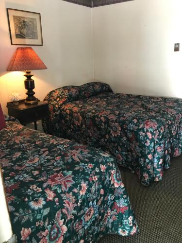 Holiday House Motel - image 9