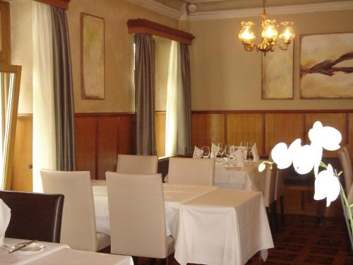 restavracija, Hotel Eden Sisikon in Uri