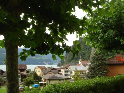 Hotel Eden Sisikon - image 7