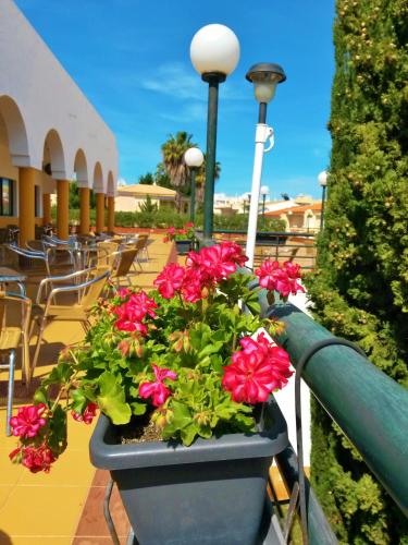 Rialgarve - image 10