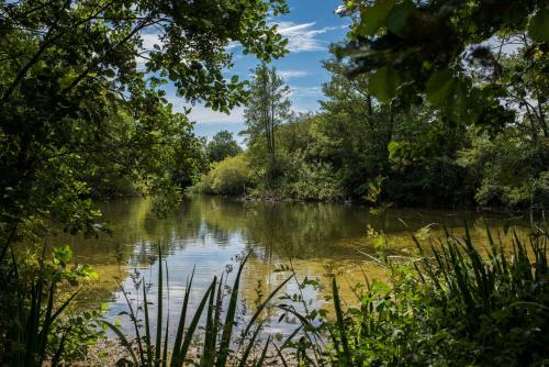 Norton Park Hotel, Spa & Manor House - Winchester