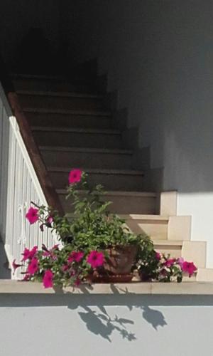  Casa Felicità in Villafranca di Verona
