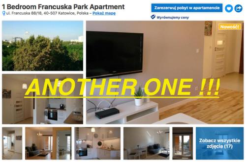 1 Bedroom City Center Apartment - image 4
