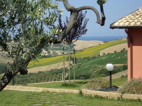 Agriturismo Il Borgo Degli Ulivi - image 7