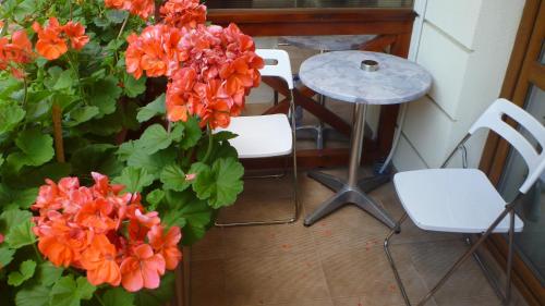 Vila Silvia - image 3