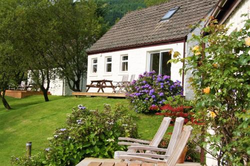 Garden, Birch Cottage in Ardentinny