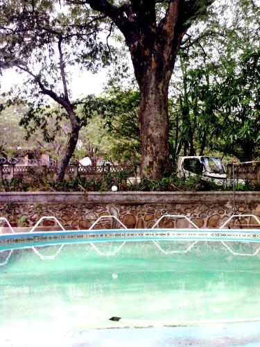 Jardim, Pennywise Cottages in Victoria Falls
