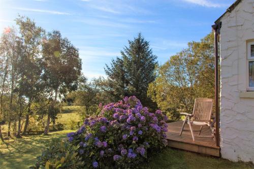 Birch Cottage - image 2