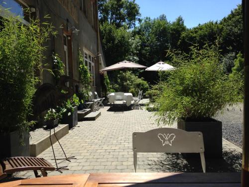 L'aire des oiseaux - image 11