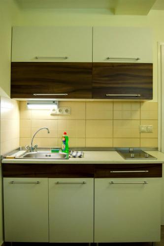 keittiö, CSONGRADI VENDEGVARO Apartmanok, Szarka haz in Csongrád