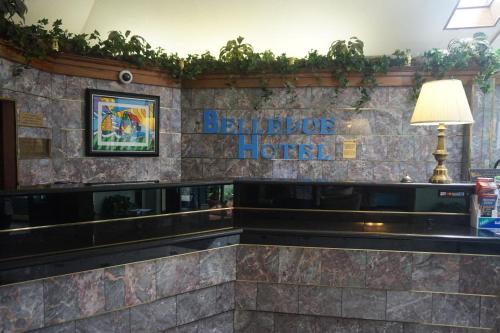 Bellevue Hotel and Suites - image 2