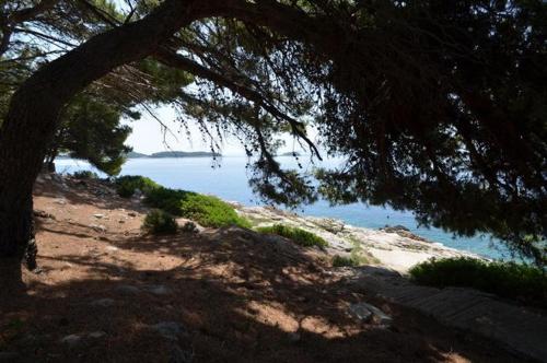 Apartments by the sea Prizba, Korcula - 149