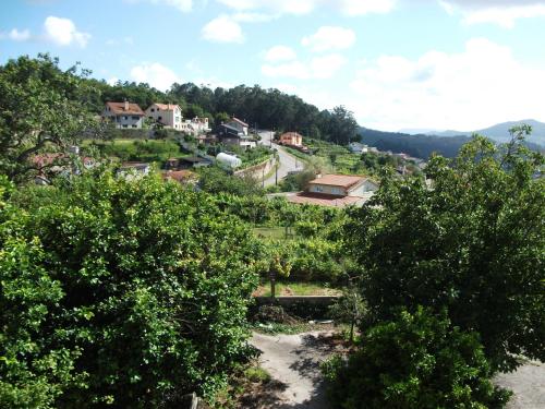 Hostal Nuevo Alonso - main image