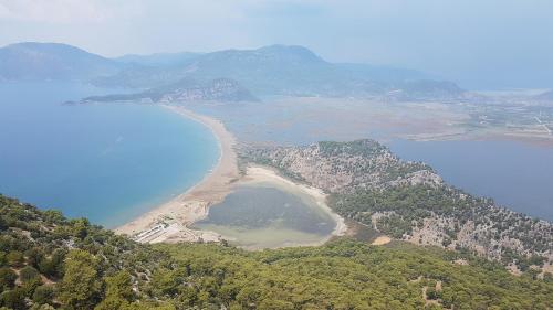 Princess of Ozalp - image 5