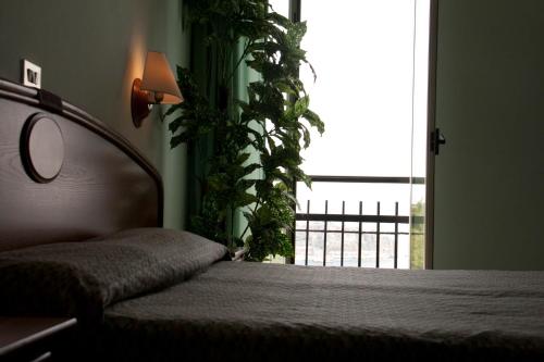 Фотография номера гостиницы Hotel Eden