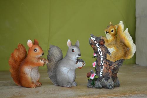 La maison des écureuils chambre d'hôte Saint-Aignan