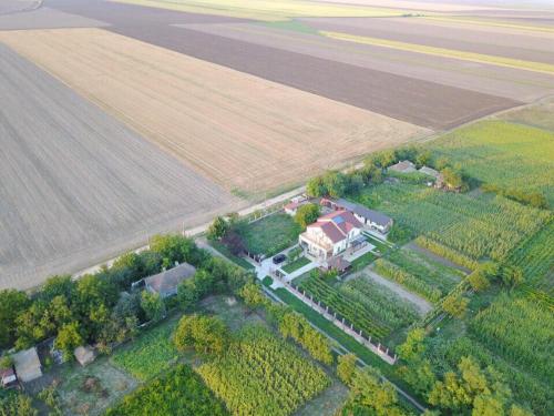 Nobless Villa