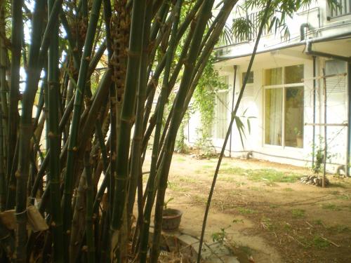 Jardín, Hotel Pearl Gate in Chilaw