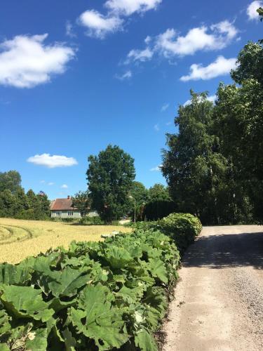 Munkamöllan Logi Skåne Tranås