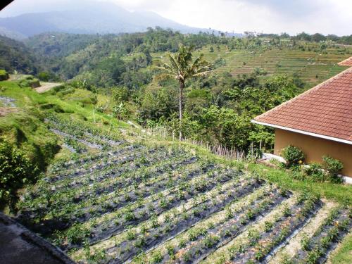 Shangrilah Villas