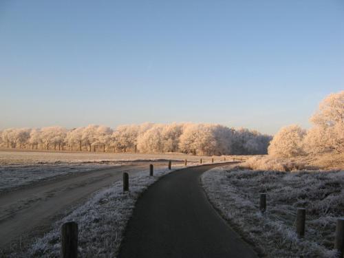 't Zwaluwennest in Exloo