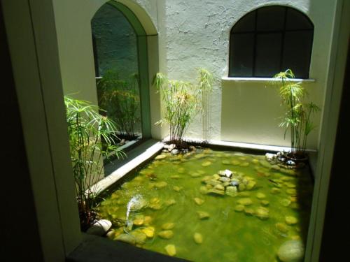 Paulina Youth Hostel - 주변 환경