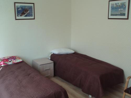 奥蒂旅馆 奥蒂旅馆