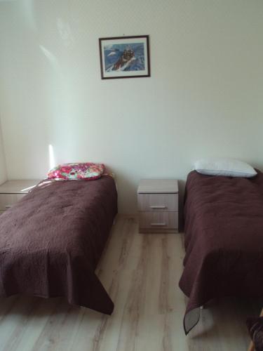 奥蒂旅馆 奥蒂旅馆