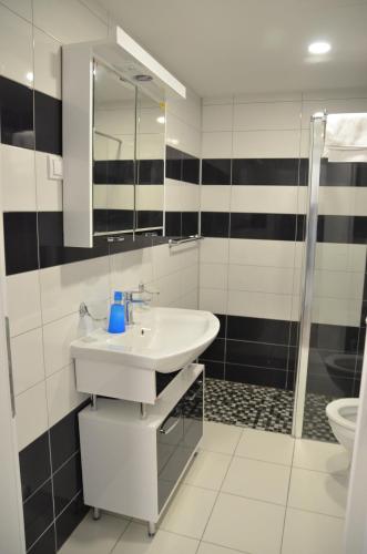 Lux Apartmani - main image