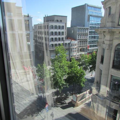 Huidreal Meir, Antwerpia