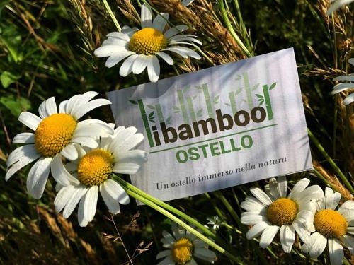 Ostello I Bamboo