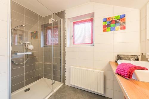 Almliesl MAIS-428 - image 11