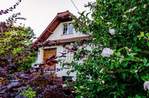  Parkland Inn, Pension in Érd bei Sóskút