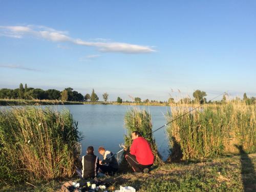 Vila Madams - image 11