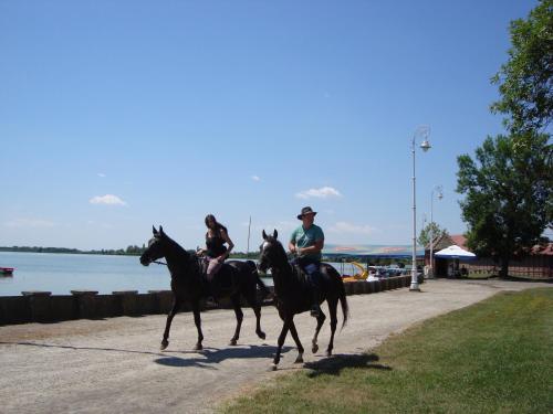 Vila Madams - Palić