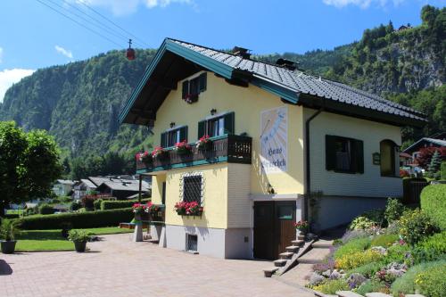 Haus Bruschek - Apartment - Sankt Gilgen