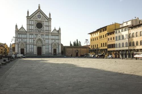 Agnolo garden & city bikes - image 6