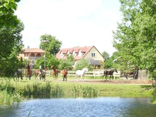 Gospodarstwo Kaczynski Ostrołęka - Hotel - Wyszel