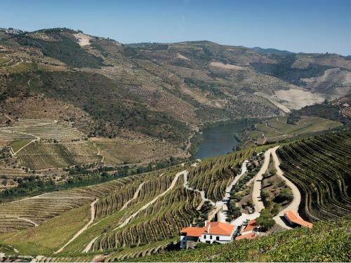 Quinta da Gricha - image 5