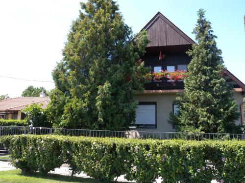  Apartment in Siofok/Balaton 20011 in Siófok