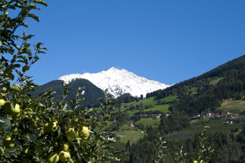 Pension Thalerhof