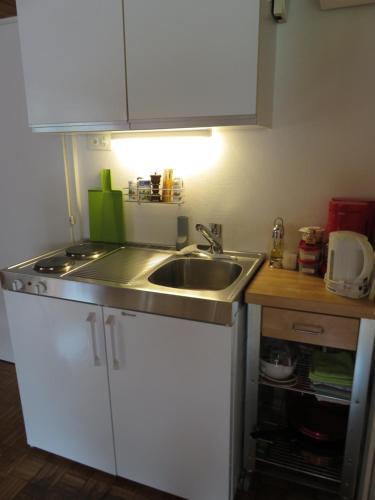 virtuve, Studio-Ferienwohnung Hans Fassler in Schwende