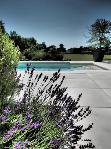 La Villa a Chateau Franc-Daut Sleeps 6 - Location saisonnière - Saint-Magne-de-Castillon