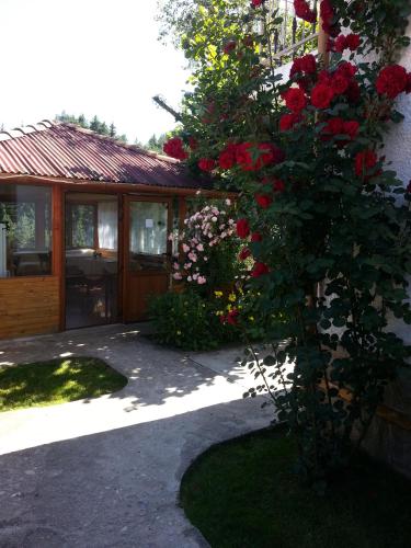 Guest House Stoletnika