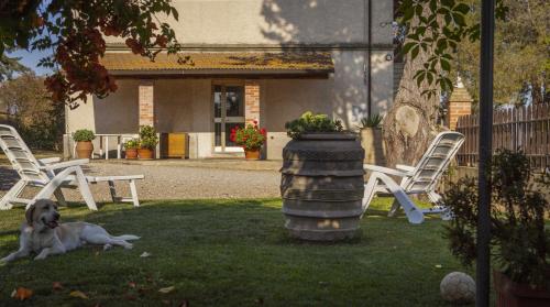  La Fondona in Campagnatico