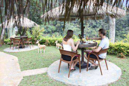 Ramboda Falls Hotel