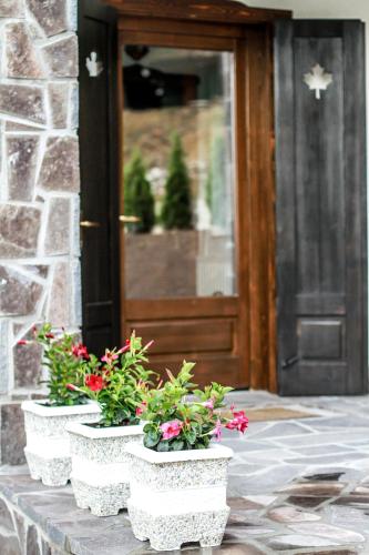 Vila Vista Sovata - image 11