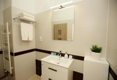 One-Bedroom Apartment image 5