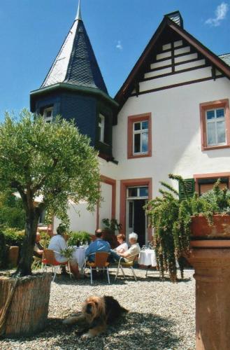Viesnīcas āriene, Wohnen im Burghotel in Lorch-Lorchhausen