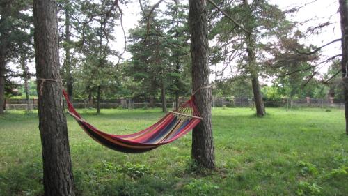 Guest House Ongal - image 12